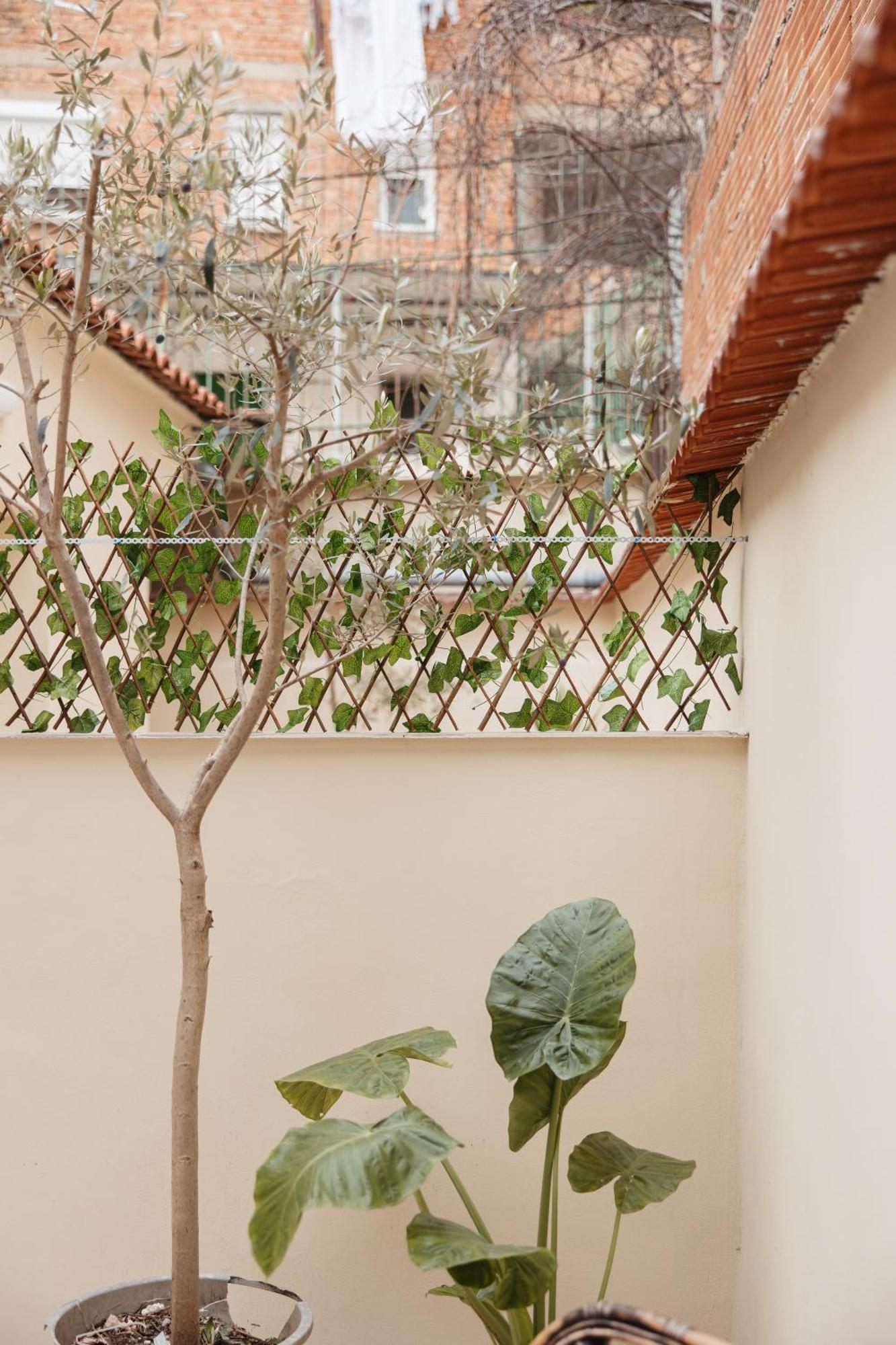 Greygreen By Holistay Tirana Extérieur photo